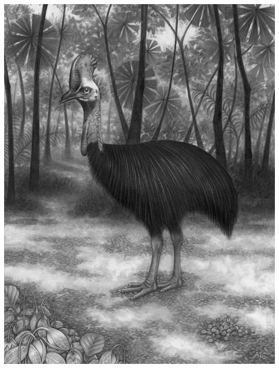 View print