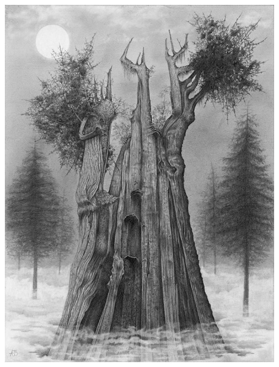 Illustration Art 